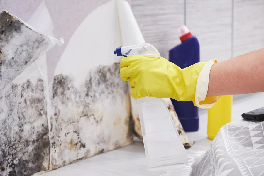 Preparing Your Home For Safe Mold Removal Treatments in Santa Fe, NM Preparing Your Home For Safe Mold Removal Treatments in Santa Fe, NM