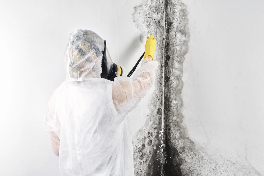Techniques Used In Effective Mold Removal And Remediation in Santa Fe, NM Techniques Used In Effective Mold Removal And Remediation in Santa Fe, NM